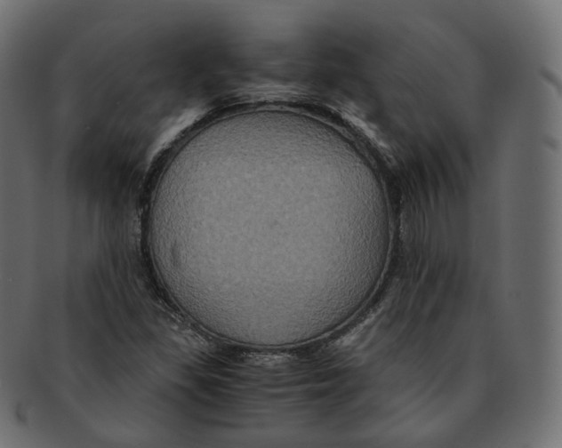 X0000091941309200710031110