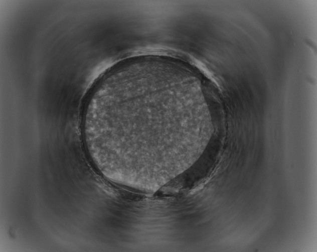 X0000091941312200710031110