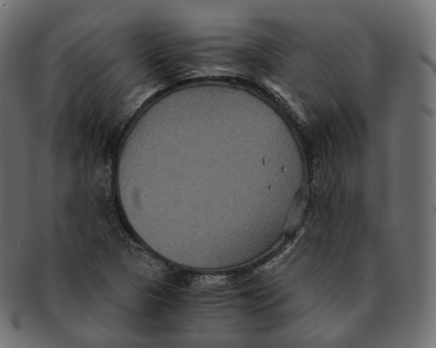 X0000091941313200710031110