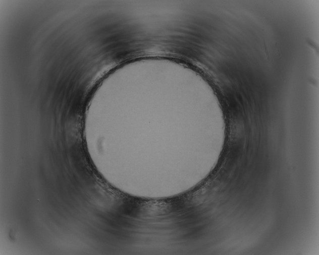 X0000091941314200710031110