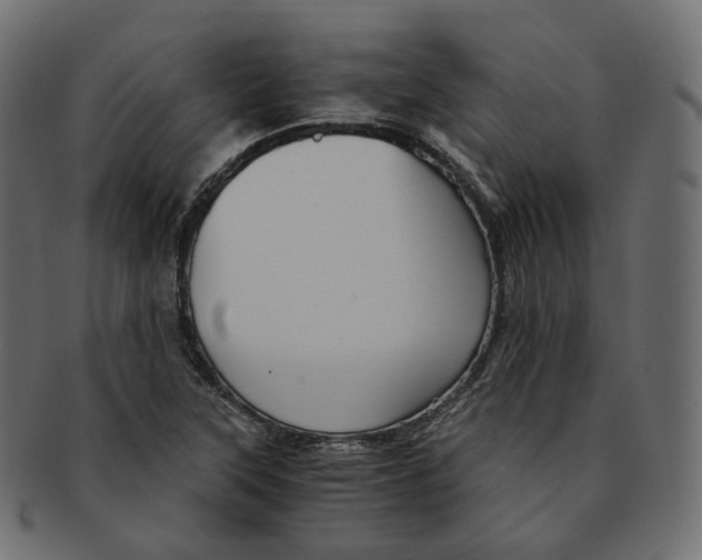 X0000091941315200710031110