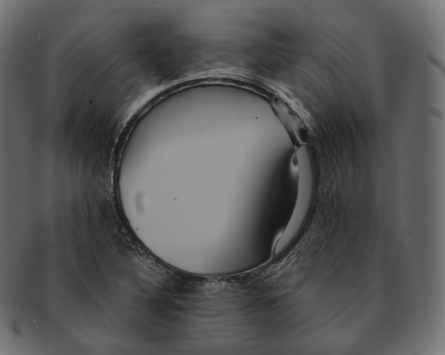 X0000091941316200710031110