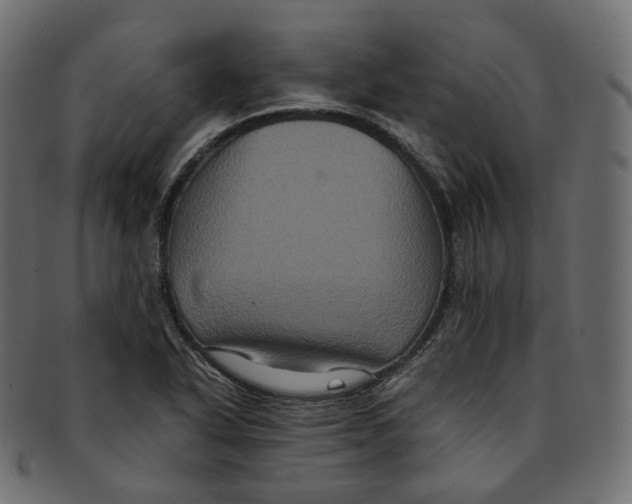 X0000091941318200710031110