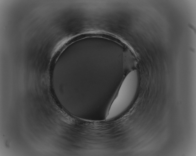 X0000091941319200710031110