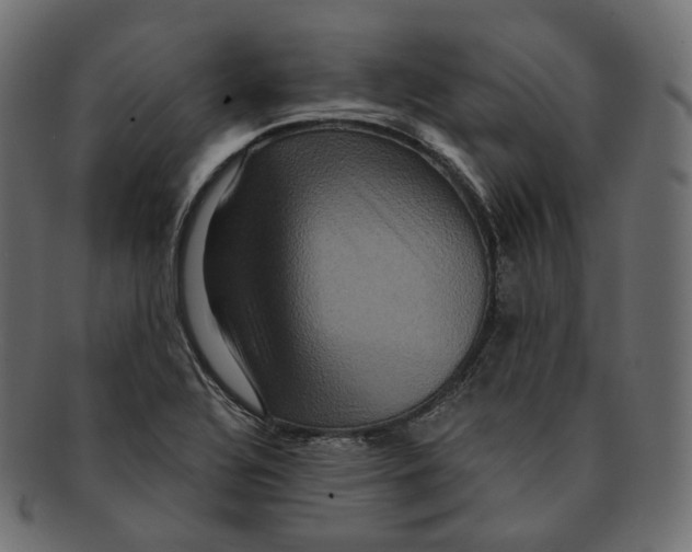 X0000091941320200710031110