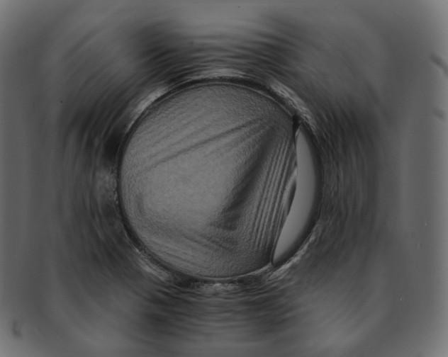 X0000091941321200710031110