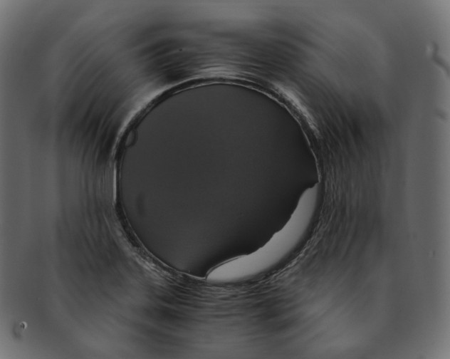 X0000091941323200710031110