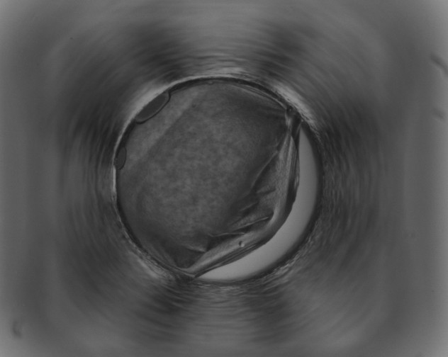 X0000091941324200710031110