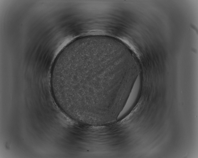 X0000091941325200710031110