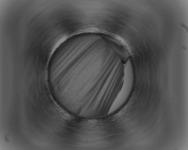 X0000091941326200710031110