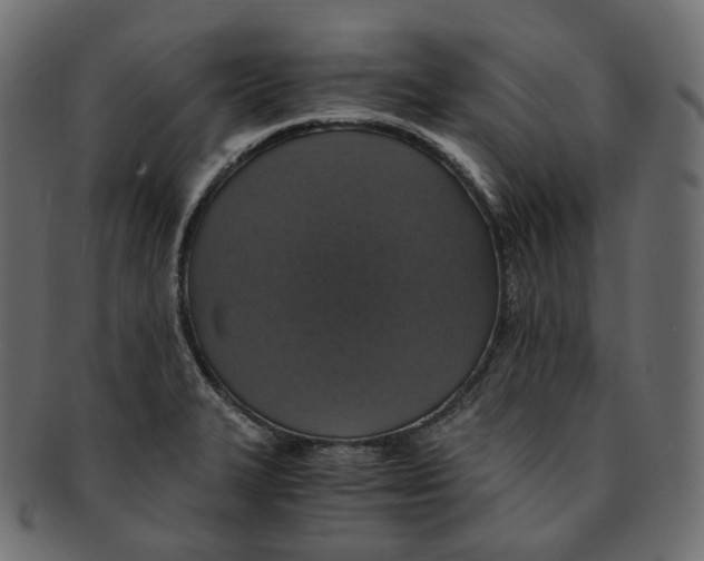 X0000091941327200710031110