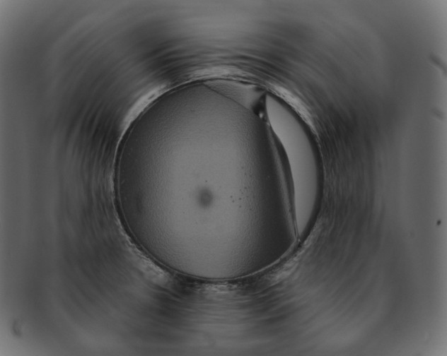 X0000091941330200710031110