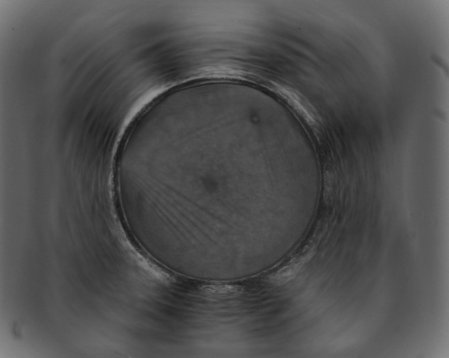 X0000091941331200710031110