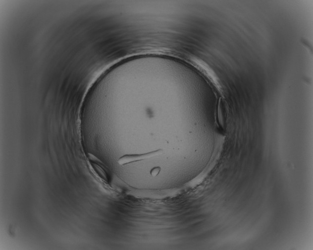 X0000091941332200710031110