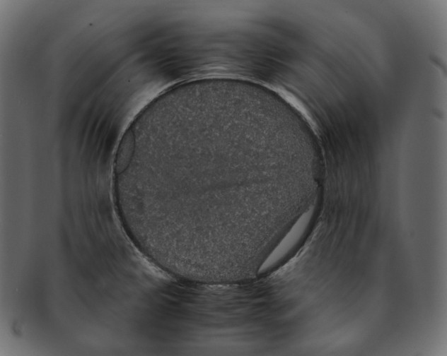 X0000091941333200710031110