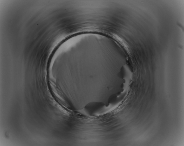 X0000091941334200710031110