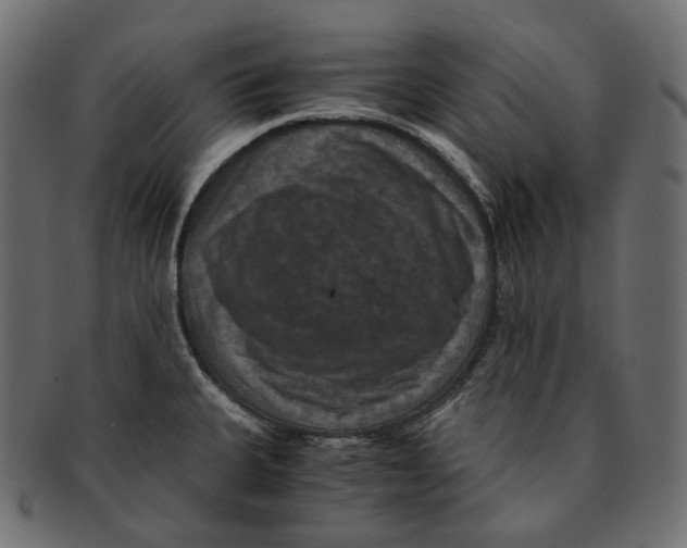 X0000091941335200710031110