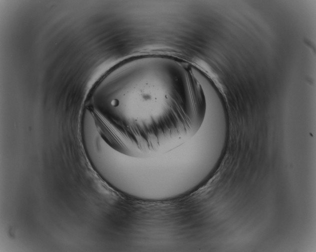 X0000091941336200710031110