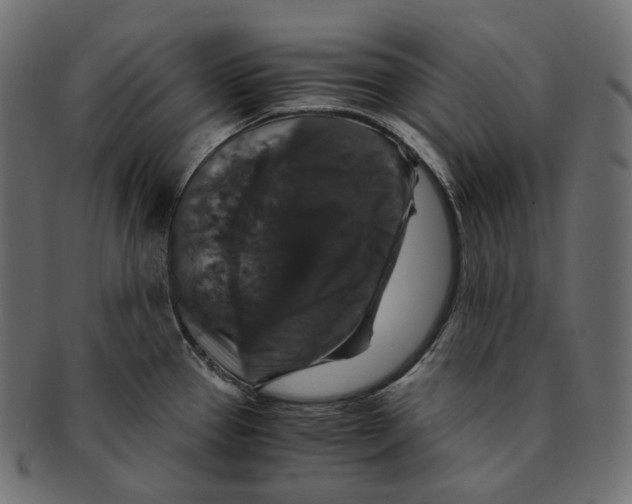 X0000091941337200710031110