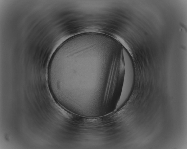 X0000091941339200710031110