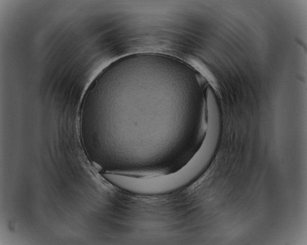 X0000091941340200710031110