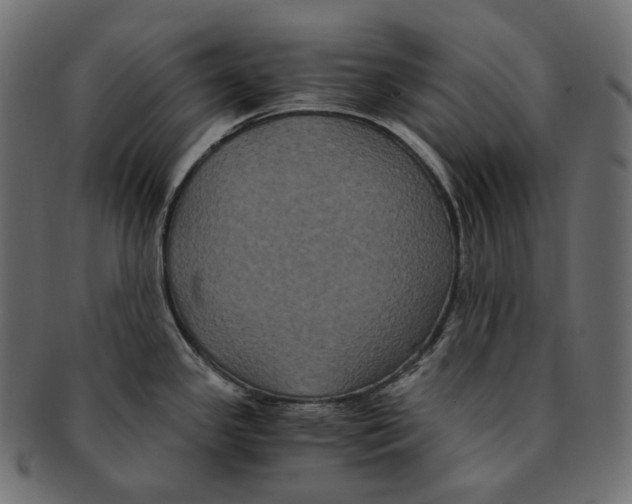 X0000091941341200710031110