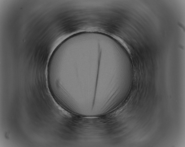 X0000091941343200710031110