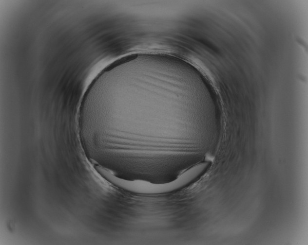 X0000091941344200710031110