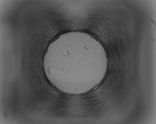 X0000091941345200710031110