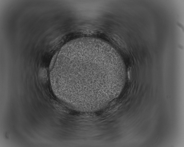 X0000091941347200710031110