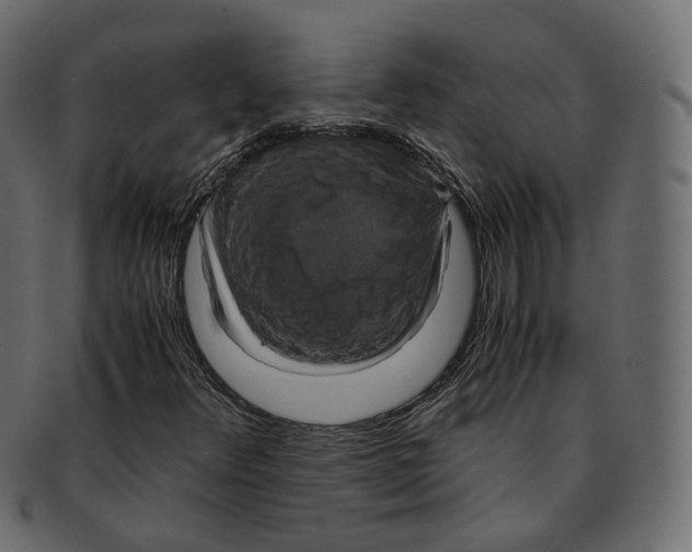 X0000091941348200710031110