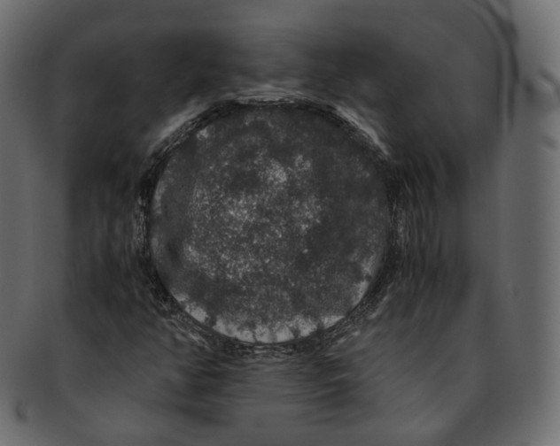 X0000091941350200710031110