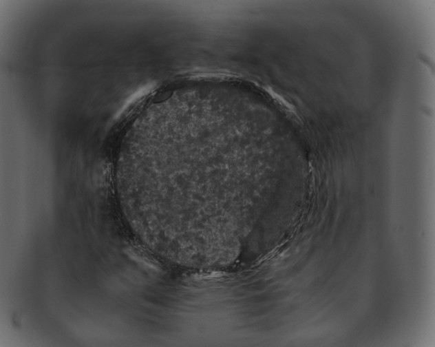 X0000091941351200710031110