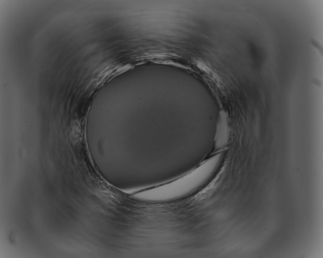 X0000091941353200710031110