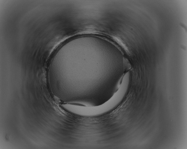 X0000091941356200710031110