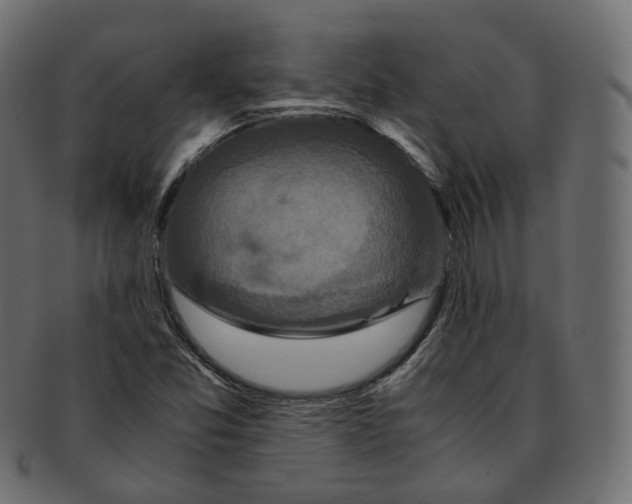 X0000091941357200710031110