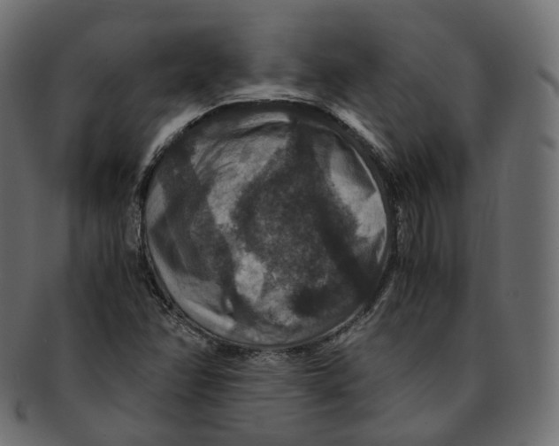 X0000091941358200710031110