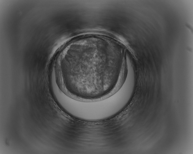 X0000091941360200710031110