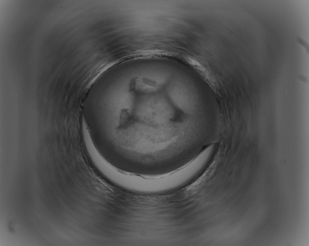 X0000091941361200710031110