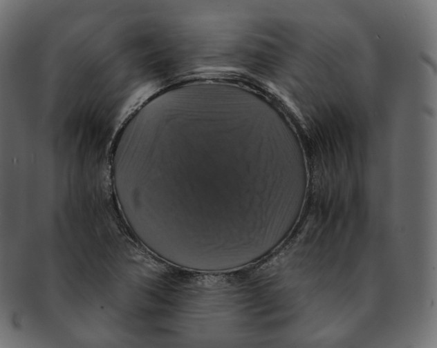 X0000091941362200710031110