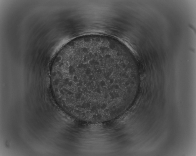 X0000091941363200710031110