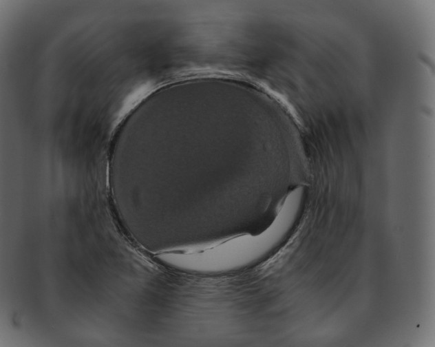 X0000091941365200710031110