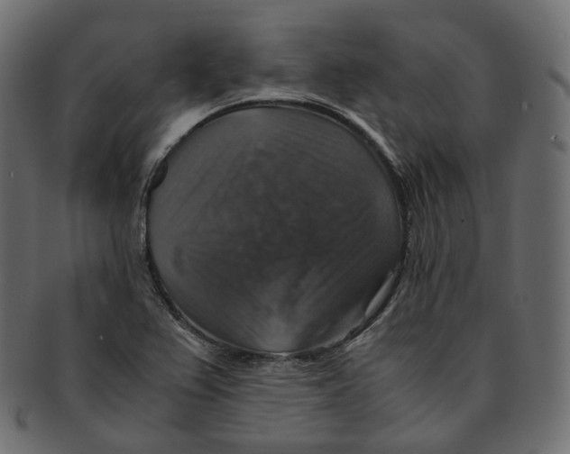 X0000091941367200710031110