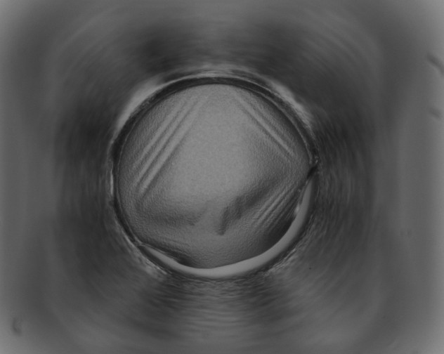 X0000091941368200710031110