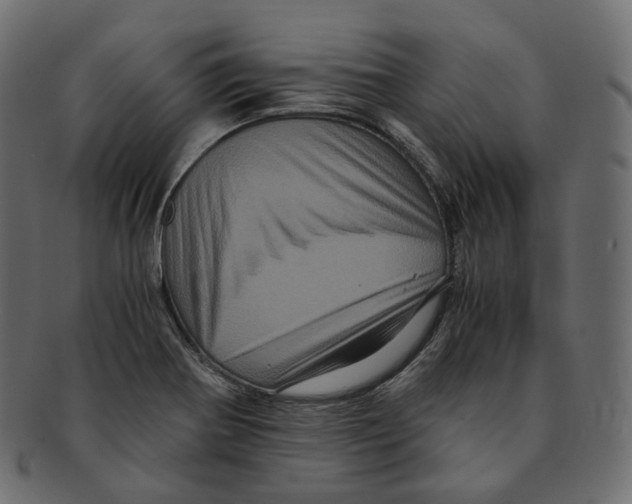 X0000091941370200710031110