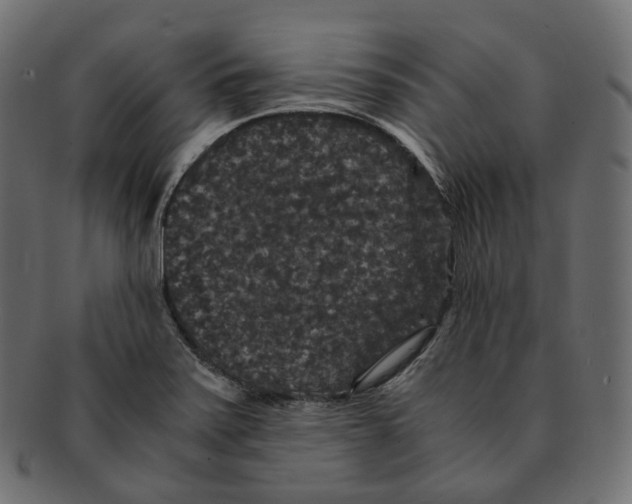 X0000091941371200710031110