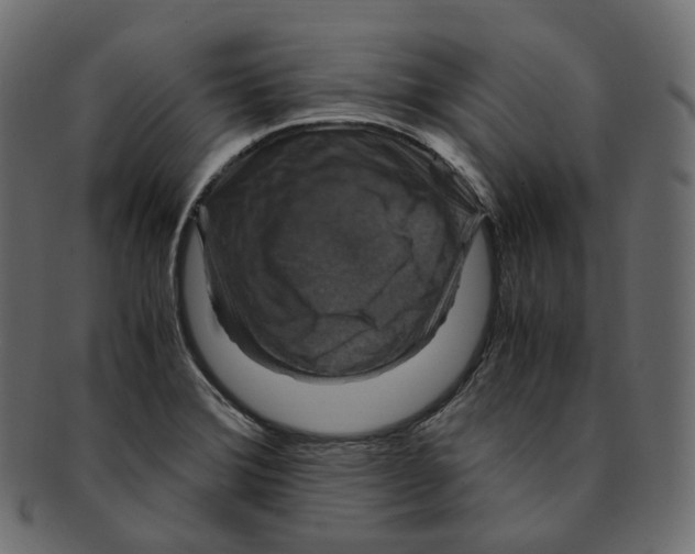 X0000091941372200710031110