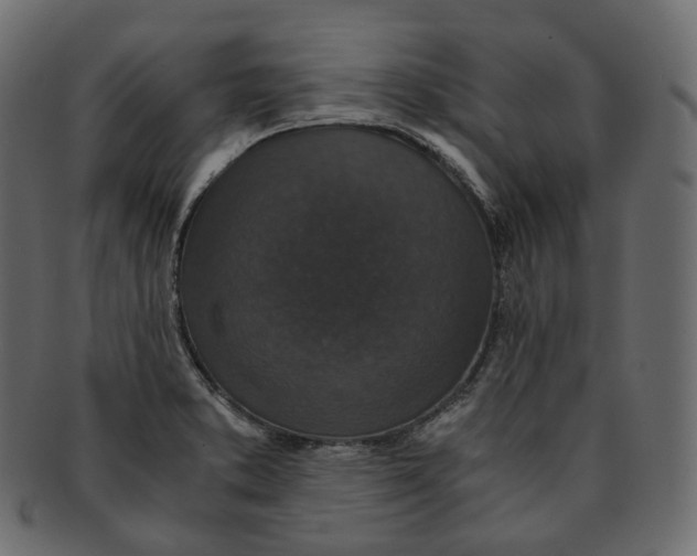 X0000091941373200710031110