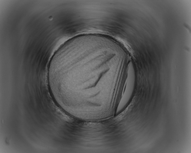 X0000091941374200710031109