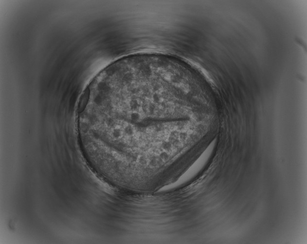 X0000091941375200710031109